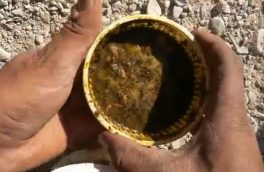 نارضایتی کارگران پتروشیمی گچساران از غذای بی‌کیفیت