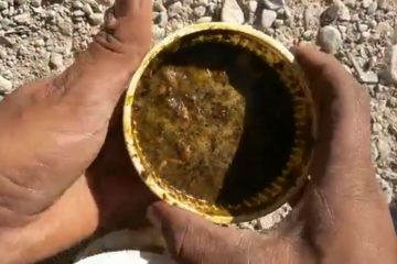 نارضایتی کارگران پتروشیمی گچساران از غذای بی‌کیفیت