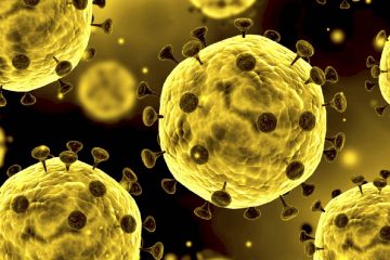 ۵۸درصد موارد مثبت تست pcr مربوط به گچساران است