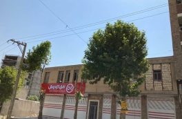 درختان بی‌گناهی که سربریده شدند / عذر بدتر از گناه مسئولین