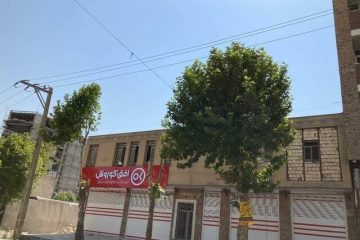 درختان بی‌گناهی که سربریده شدند / عذر بدتر از گناه مسئولین