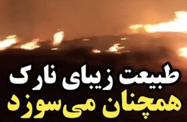 طبیعت زیبای نارک همچنان گرفتار حریق است