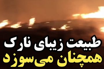 طبیعت زیبای نارک همچنان گرفتار حریق است